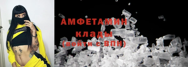 индика Вязьма