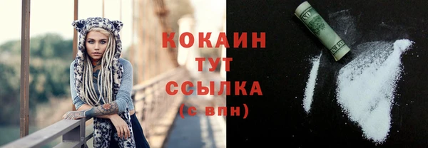 индика Вязьма