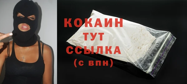 индика Вязьма