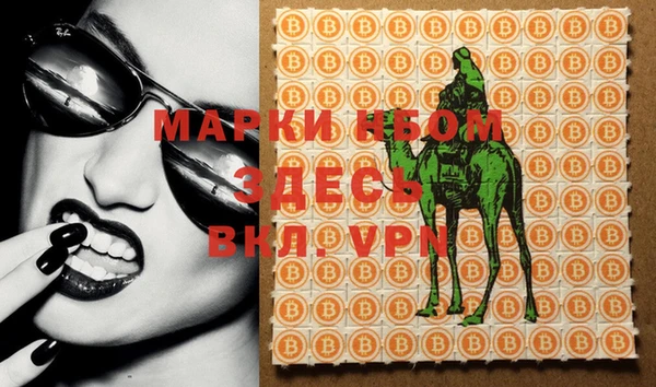 индика Вязьма