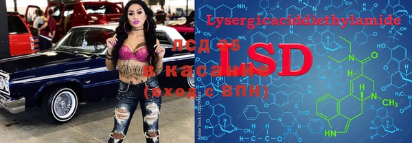 индика Вязьма