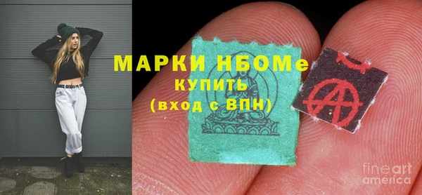 индика Вязьма