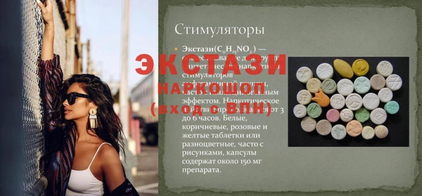 индика Вязьма