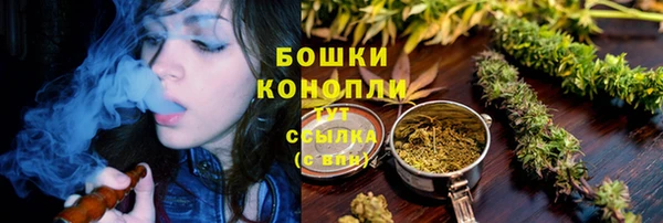 индика Вязьма